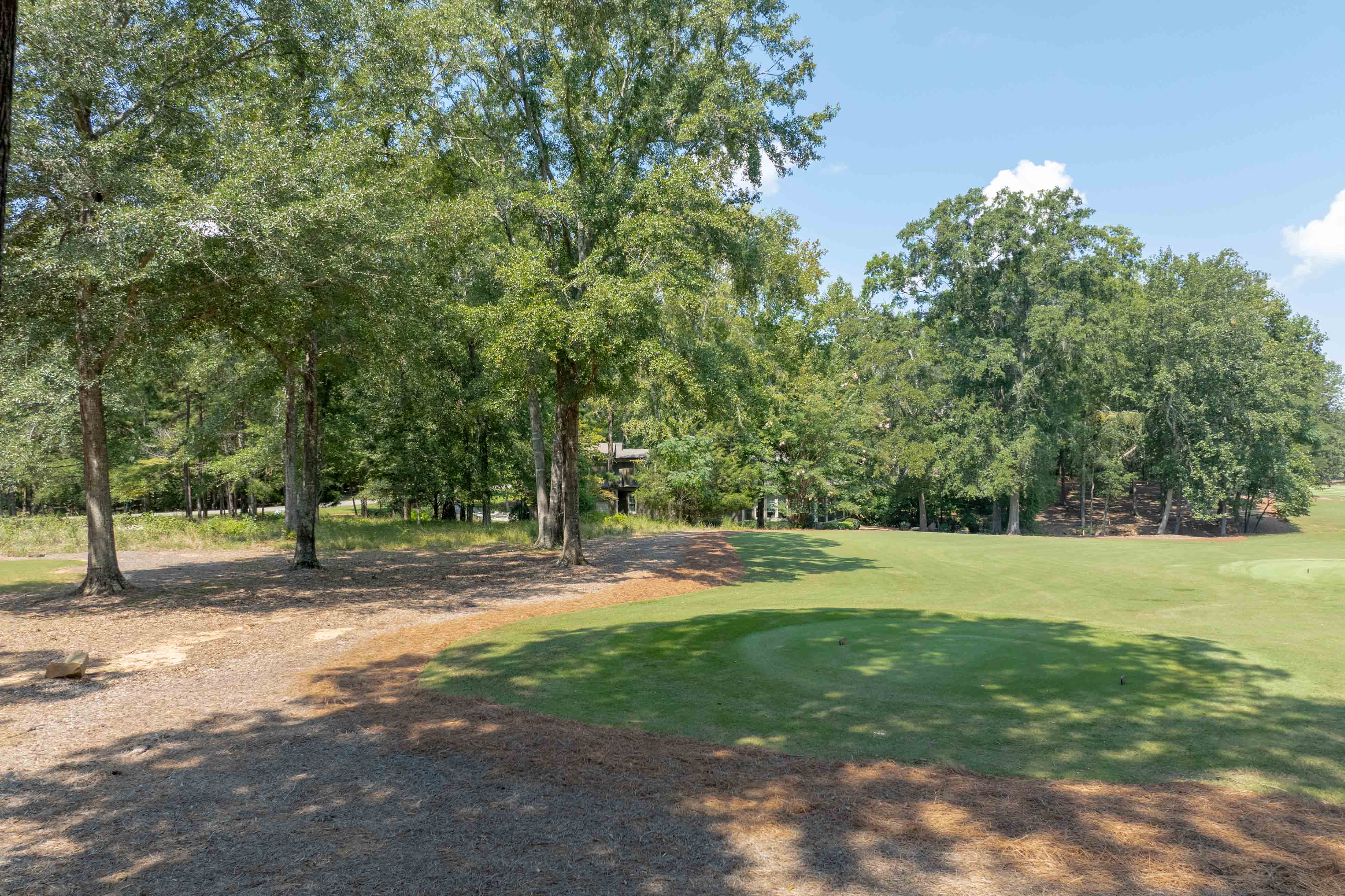 161 Broadlands Drive image 13